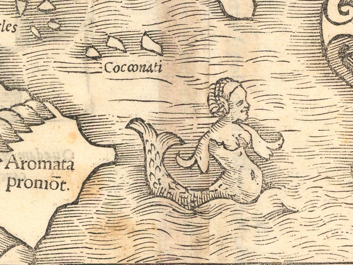 בת הים על המפה