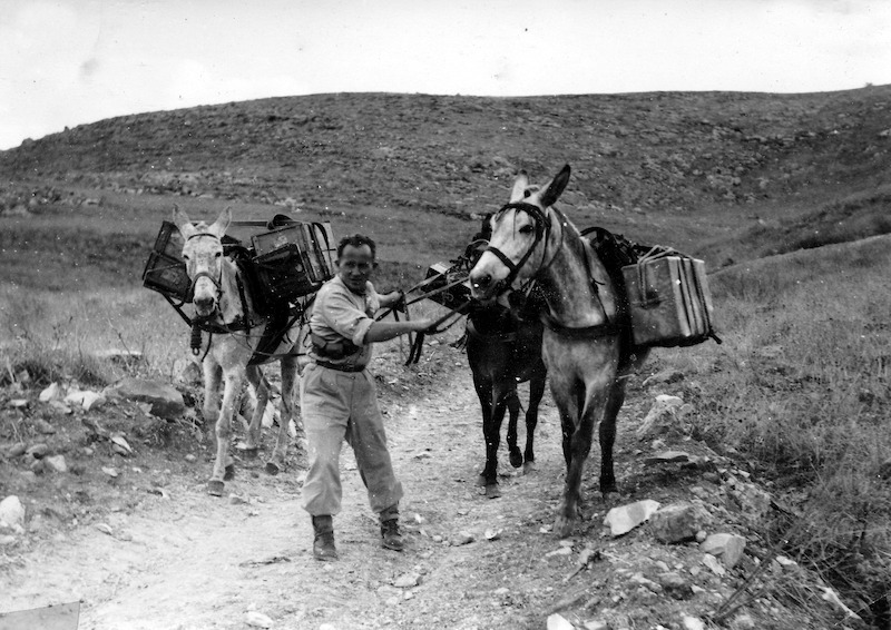 A soldier leading supply-mules to the Barkan outpost on Mt. Gilboa during the War of Independence, 1948, from the Visual Memory Collection, the Bitmuna Collections, the Kibbutz Heftziba Collection.