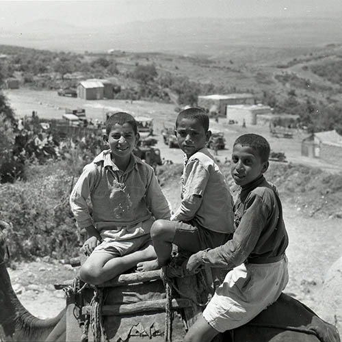 مجموعة من الأطفال يمتطون جملاً في وادي عارة، أيار 1949