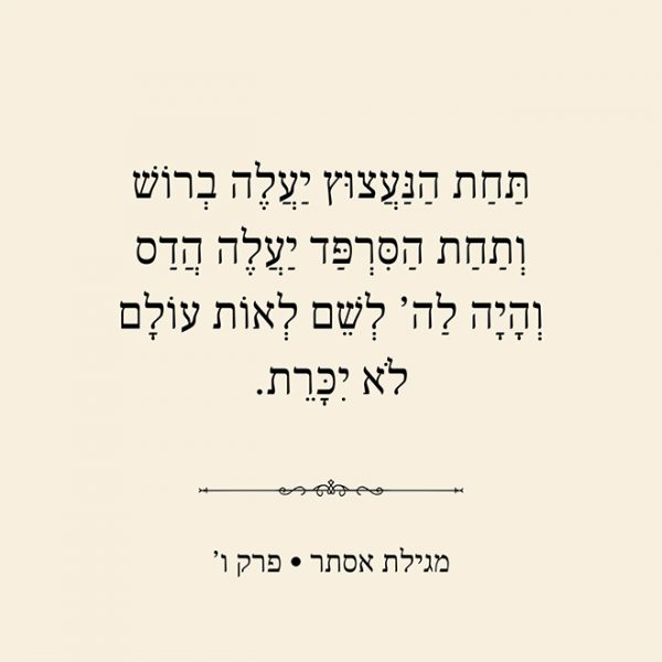 מגילת אסתר 3