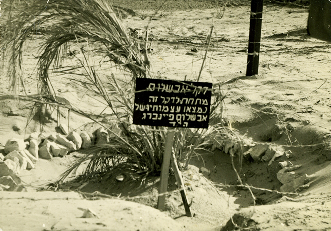 עץ הדקל ישראל נגלית לעין