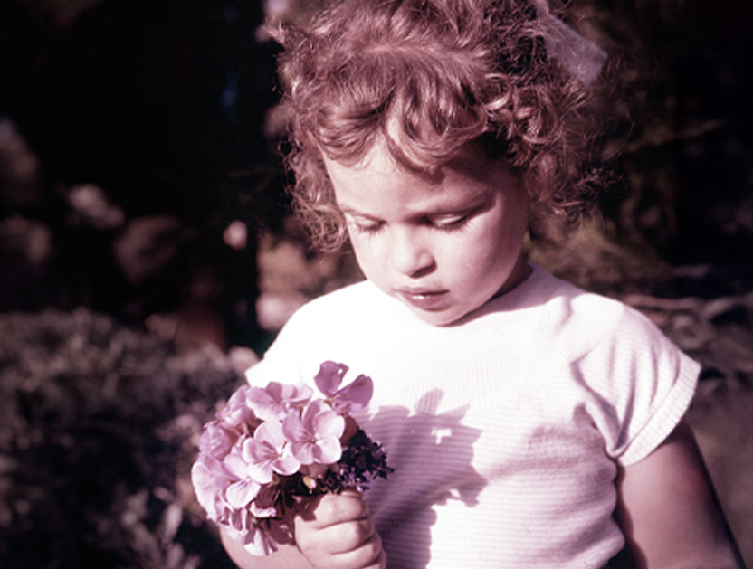 אוסף מיתר, האוסף הלאומי לתצלומים על שם משפחת פריצקר, הספרייה הלאומית