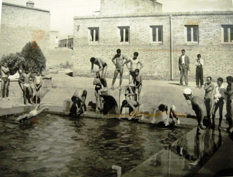 990042110340205171 Swimming