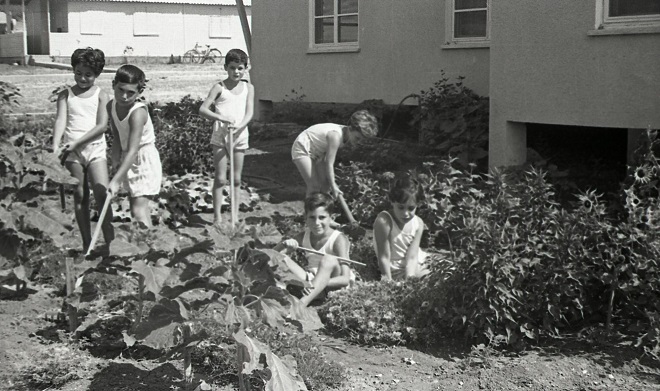 Nnl Archive Al11411287830005171 Ie73673681 Fl73673690