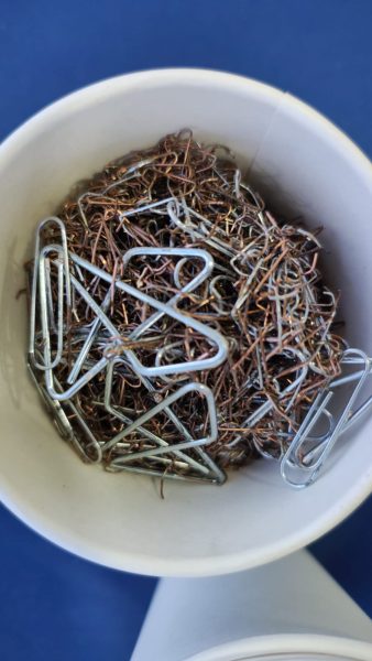 Whatsapp Image 2025 08 04 At 11.47.44 Pm (2)