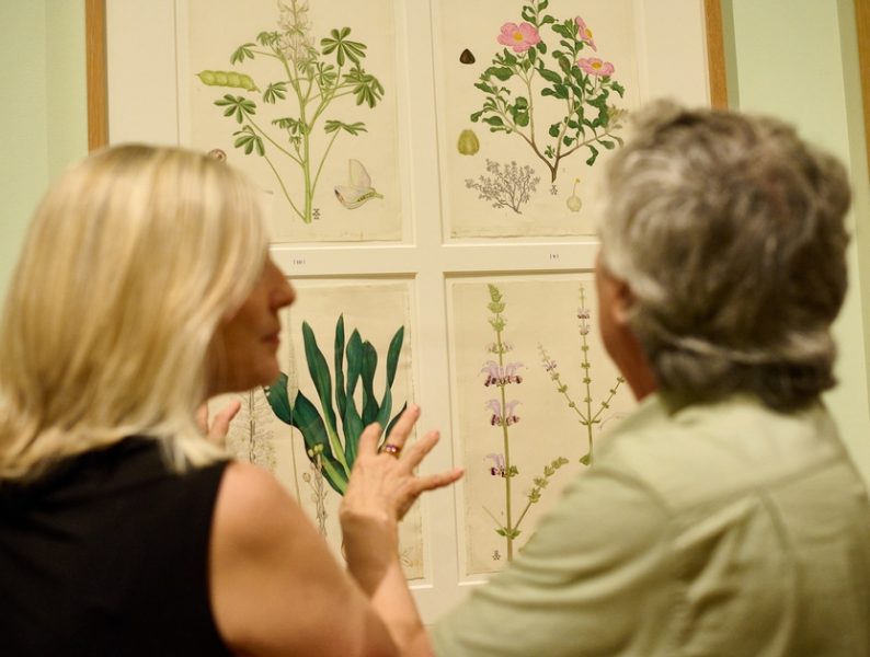 מתוך פתיחת התערוכה "יש פרחים: בין דפי הספרייה הלאומית", צילום דור קדמי