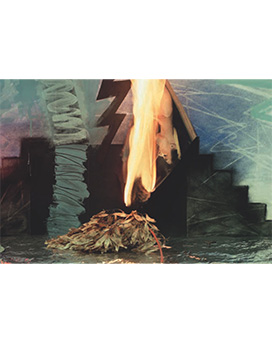 Prose Critique 272 343